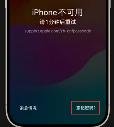 梁平苹果手机密码维修分享iPhone忘记了刚设置的密码 