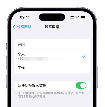梁平苹果维修服务分享如何在iPhone上使用双卡 