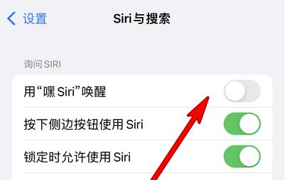 梁平苹果13维修分享iPhone 13怎么唤醒 Siri  