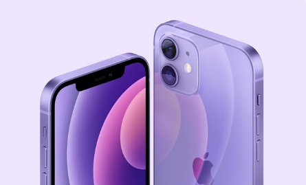 梁平苹果手机维修分享紫色版iPhone 12有什么技术亮点 