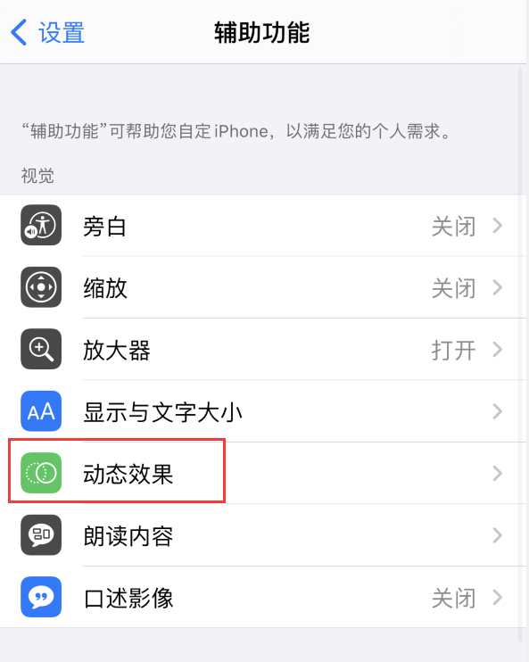 梁平苹果手机维修分享iPhone 12 退出应用时没有动画显示，如何设置 